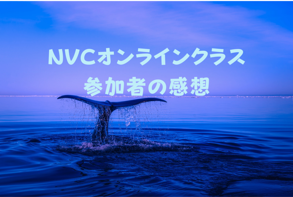 NVCオンラインクラス参加者の感想１