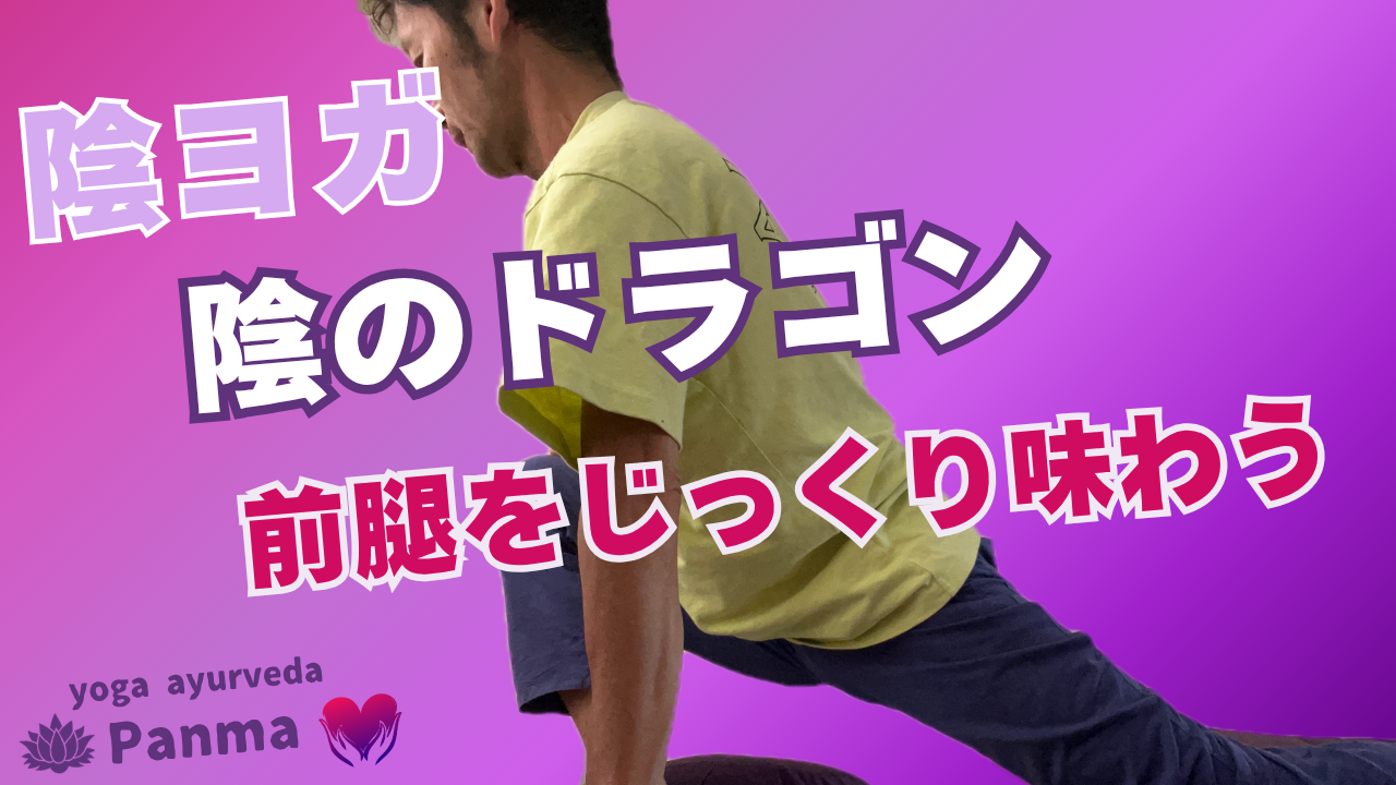 陰のドラゴン